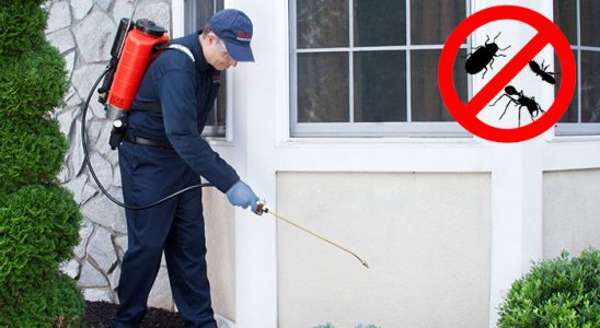 Yerköy Kemirgen İlaçlama böcek ilaçlama ve haşere kontrolü — ilaclama-tr.com